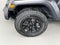 2022 Jeep Wrangler Unlimited Unlimited Willys