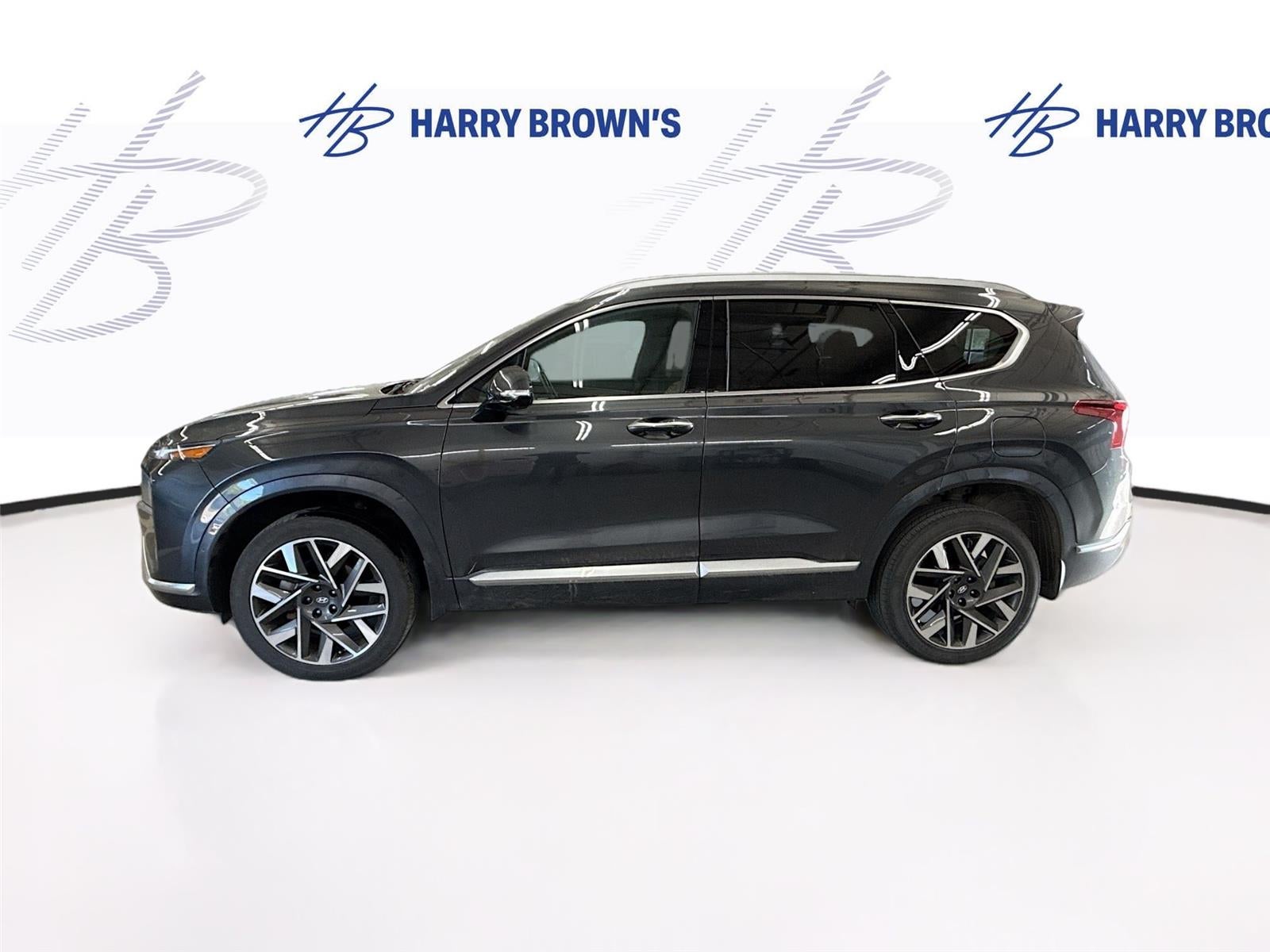 2023 Hyundai Santa Fe Calligraphy