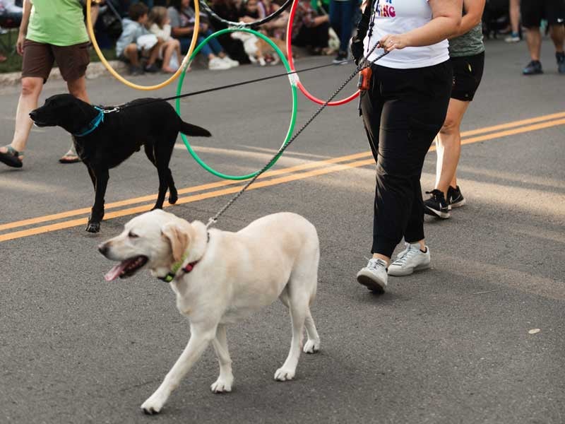 88th Annual Faribault Pet Parade