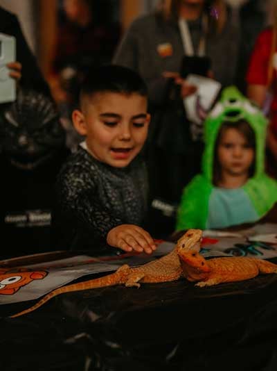 The Scary at Harry's